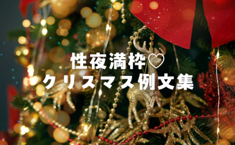 性夜満枠♡クリスマス例文集